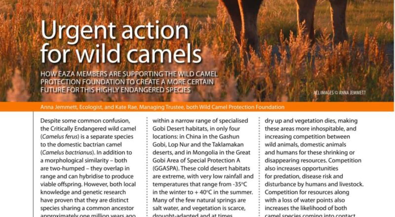 Zooquaria 125 - WCPF article