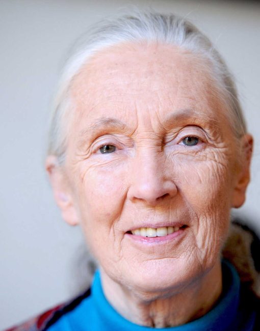 Dr Jane Goodall DBE (1934-2025)
