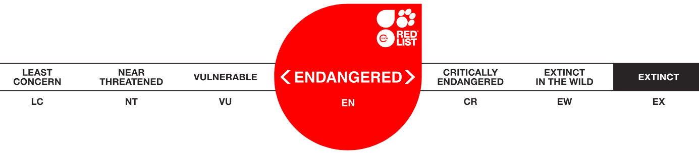 Camelus ferus EN Red List graphic