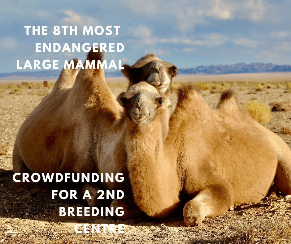 Crowdfunding for a 2nd breeding centre