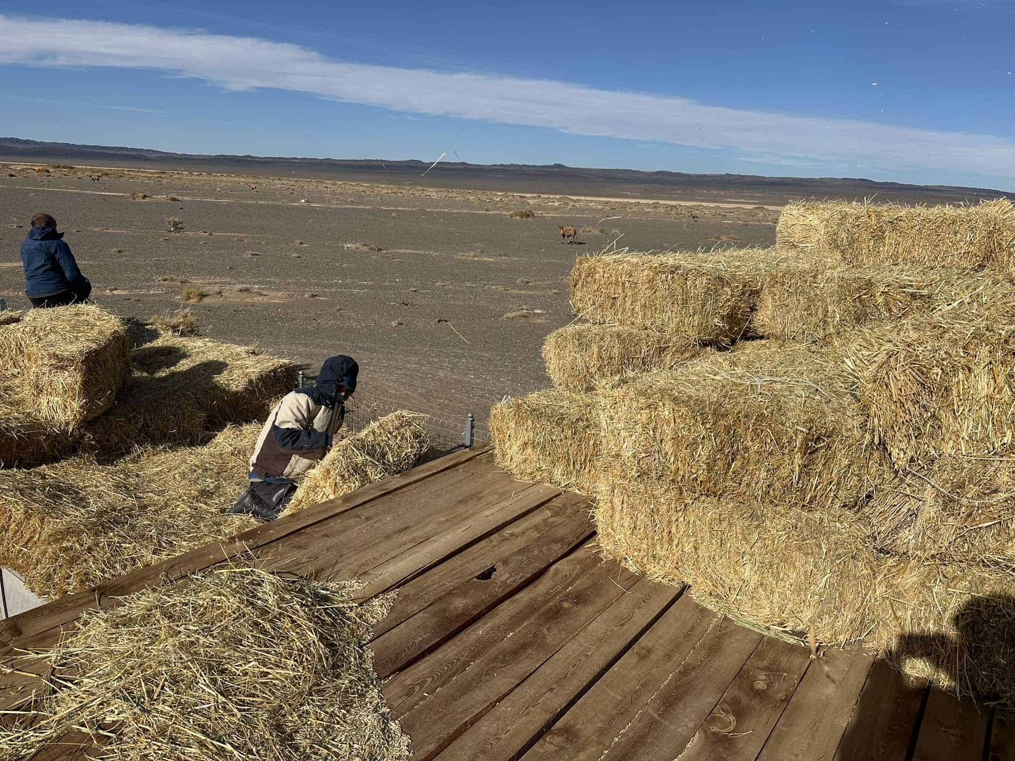Hay Delivery at Toli Bulag